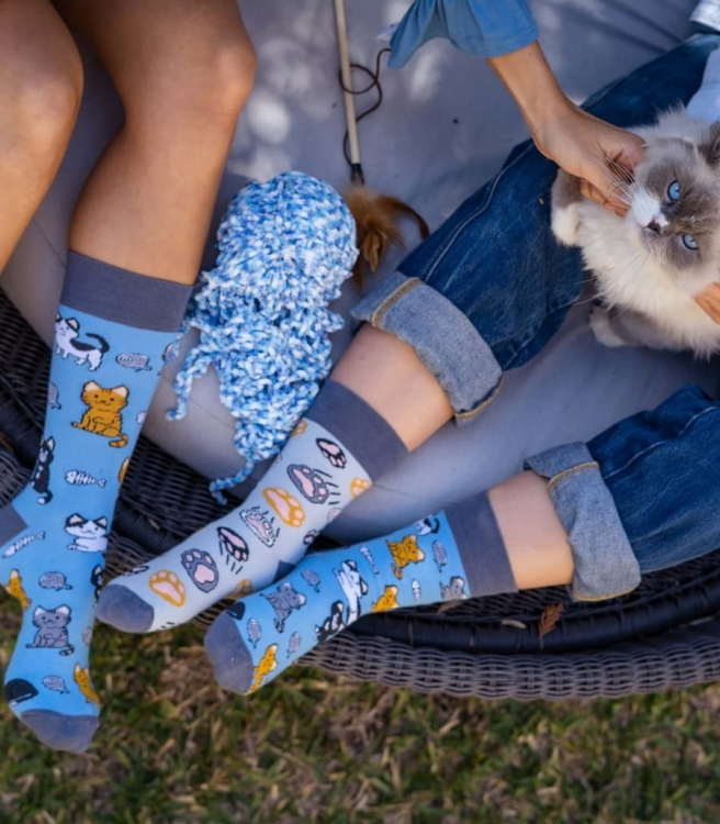 Skarpety-spox-sox-koty-lookbook.jpg