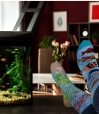Skarpety-spox-sox-akwarium-lookbook.jpg