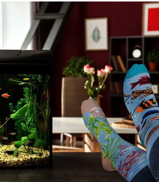 Skarpety-spox-sox-akwarium-lookbook.jpg
