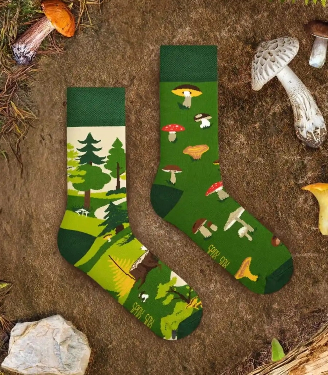 Skarpety-spox-sox-grzyby-lookbook.jpg