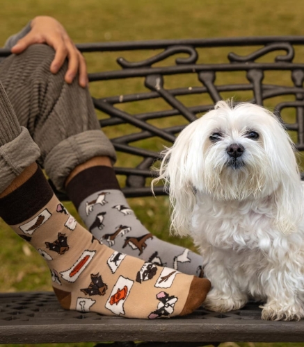 Skarpety-spox-sox-psy-lookbook.jpg