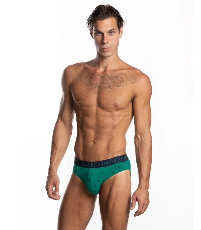 Slipy-meskie-2-pak-M-1055SD-Lama.jpg