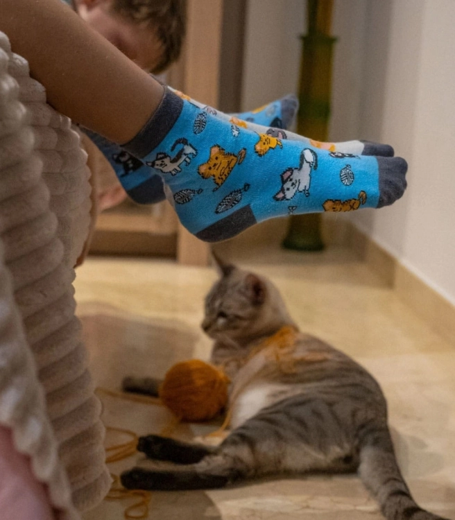 Skarpetki-dzieciece-bawelniane-koty-spox-sox-lookbook2.jpg