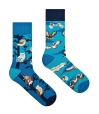 Skarpety-SOWY-Spox-Sox.jpg
