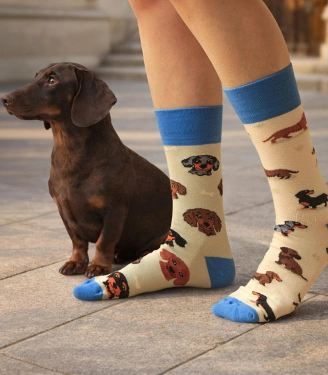 Skarpety-JAMNIKI-PSY-Spox-Sox-lookbook.jpg