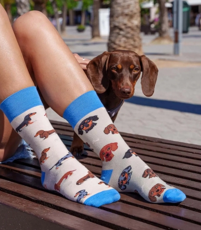 Skarpety-JAMNIKI-PSY-Spox-Sox-lookbook2.jpg