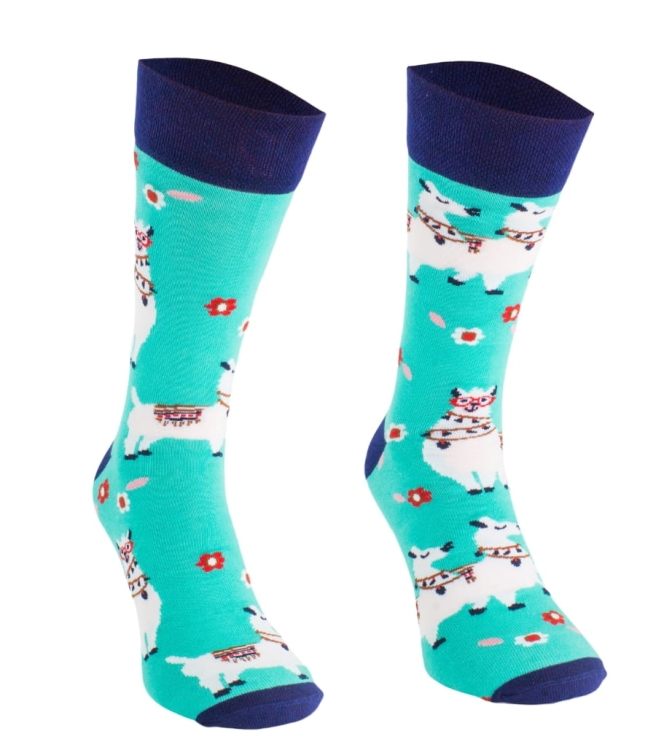 Skarpety-comodo-ALPACA-SM1-26.jpg